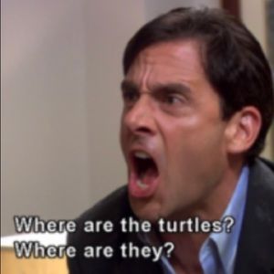 Meet your Posher, Fiona